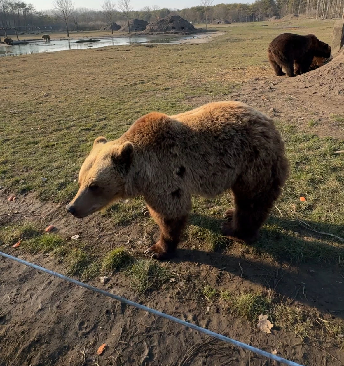 Tavaszi Kollekcióbemutató a Medvék Között – Egy Különleges Hétvégi Program!