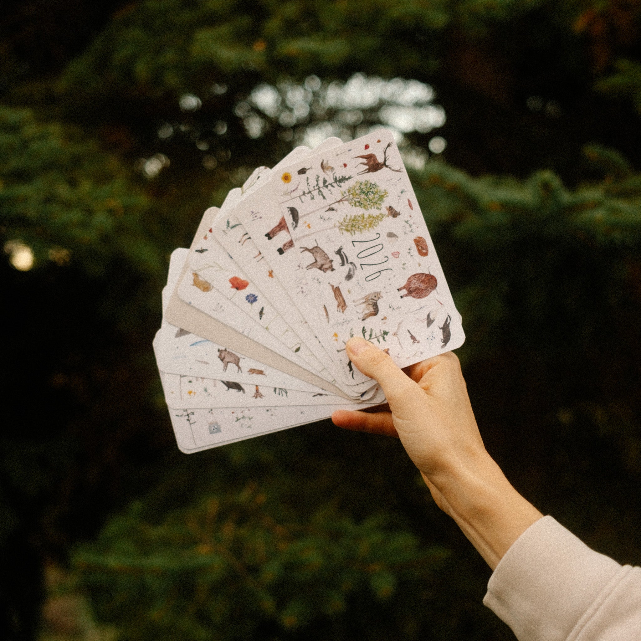 Asztali mini kalendár lapok 2026