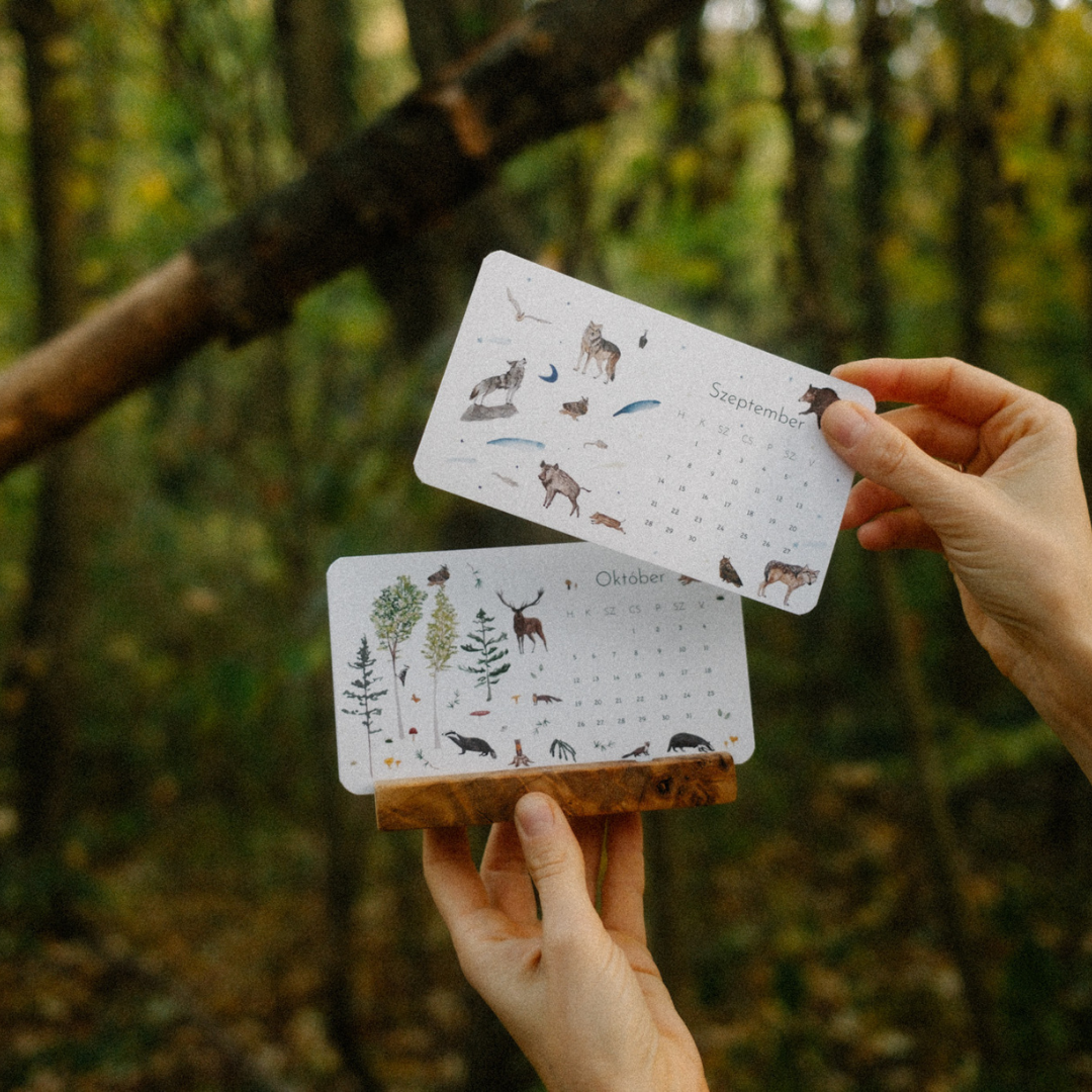 Asztali mini kalendár 2026