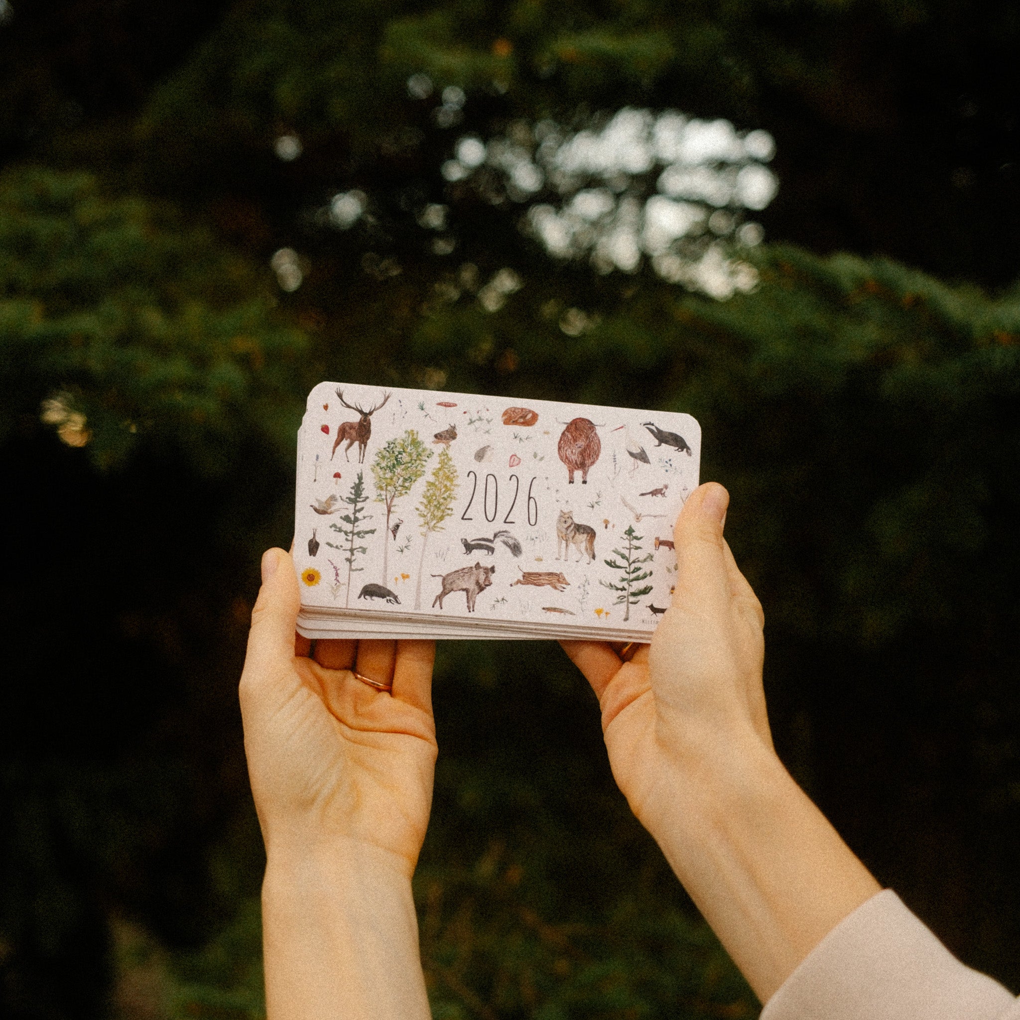 Asztali mini kalendár 2026